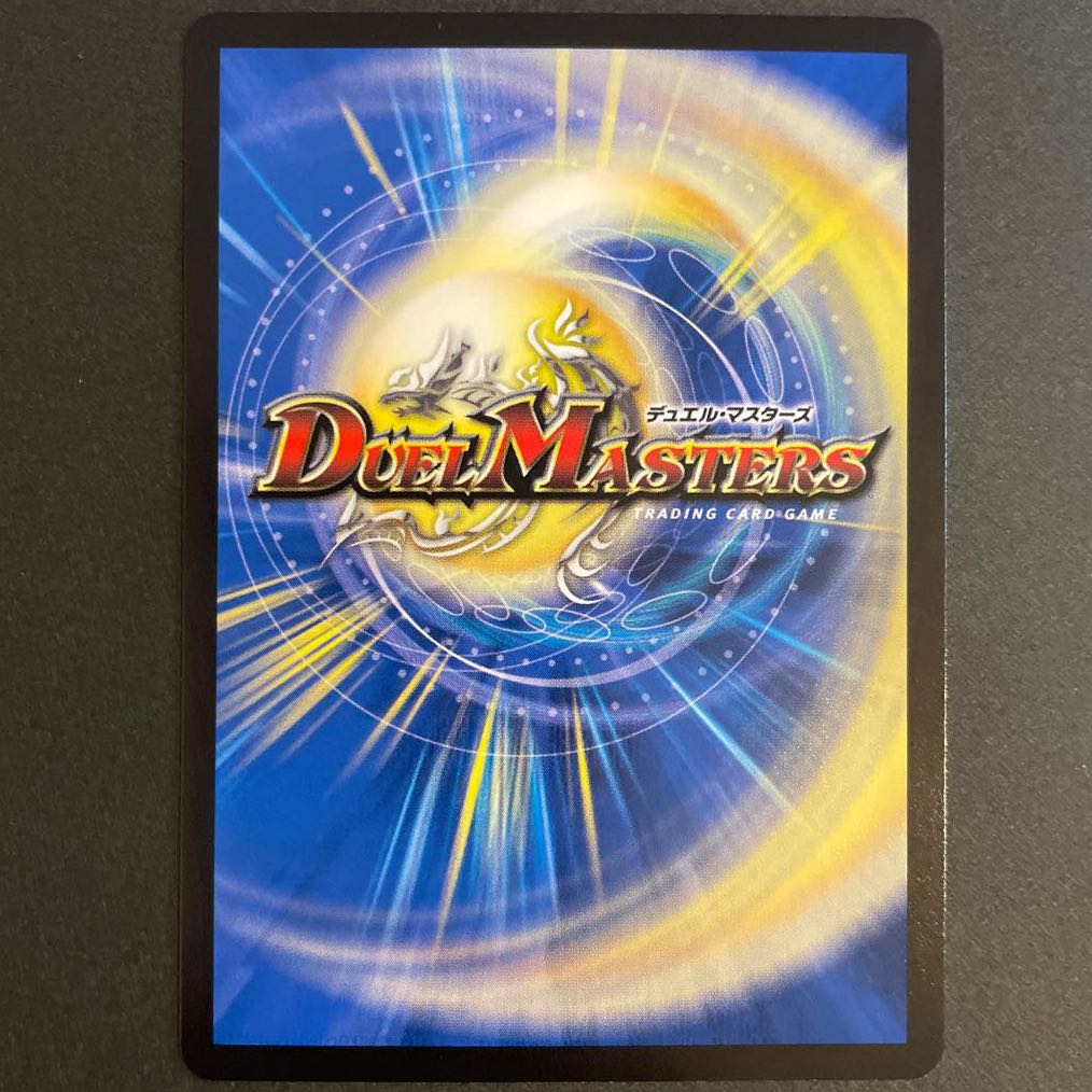 反逆龍 5000typeR|無法頂上会議 2枚セット