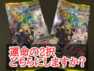 イーブイヒーローズ　2択問題