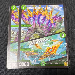 闘争類拳嘩目 ステゴロ・カイザー｜お清めシャラップ