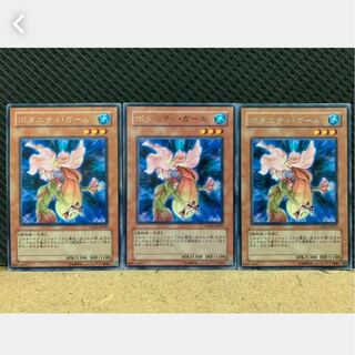 【ぽぽたん】遊戯王 484 ボタニティ・ガール 3枚 レア