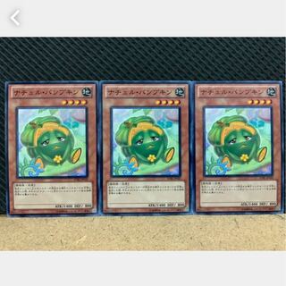 Popotan] Yu-Gi-Oh! 518 Naturia Pumpkin 3 Normal