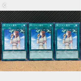 Popotan] Yu-Gi-Oh! 506 Forbidden Chalice 3 Normal