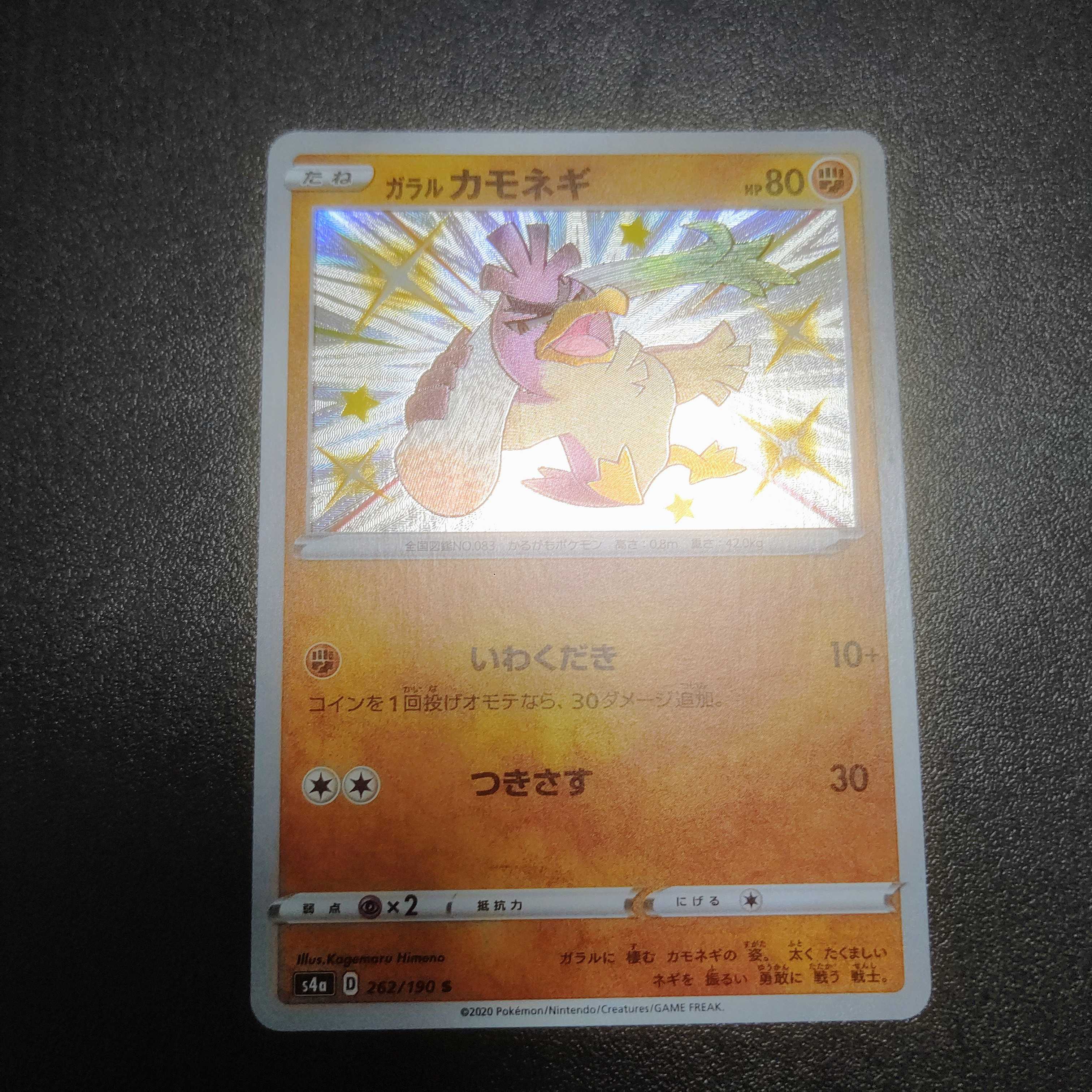 トゥリオン様専用 ガラルカモネギ