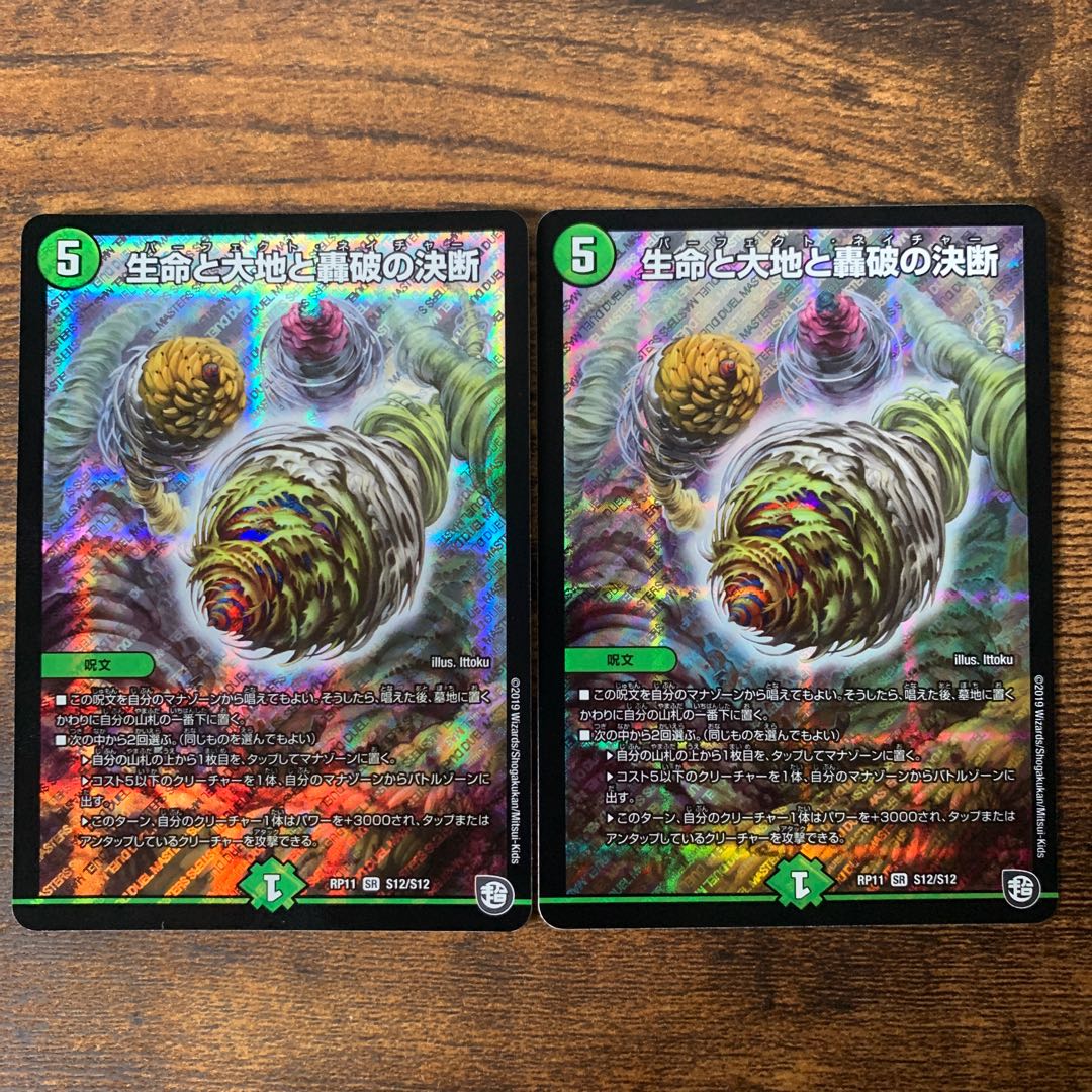 生命と大地と轟破の決断