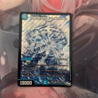 水上第九院 シャコガイル