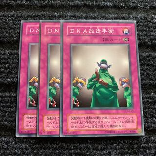 DNA改造手術 ノーマル