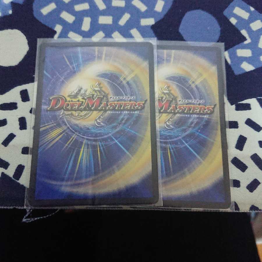 転々のサトリ ラシャ 2枚セット