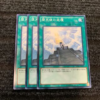 Darklord Contact Normal