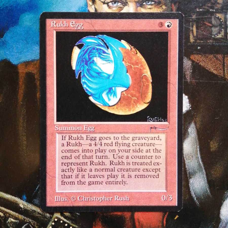 ARN ルフ鳥の卵 英語