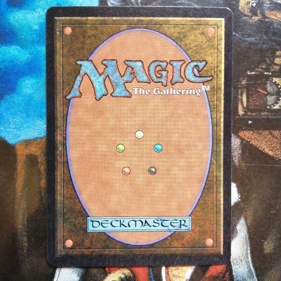 ARN ルフ鳥の卵 英語