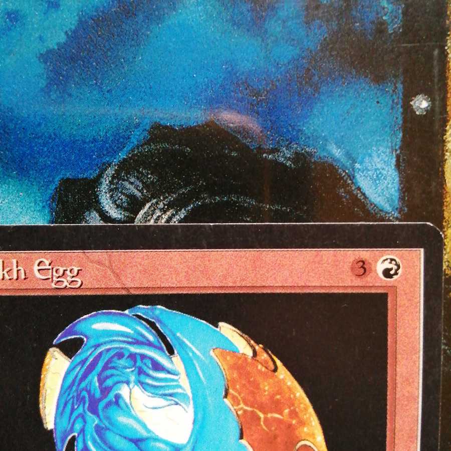 ARN ルフ鳥の卵 英語