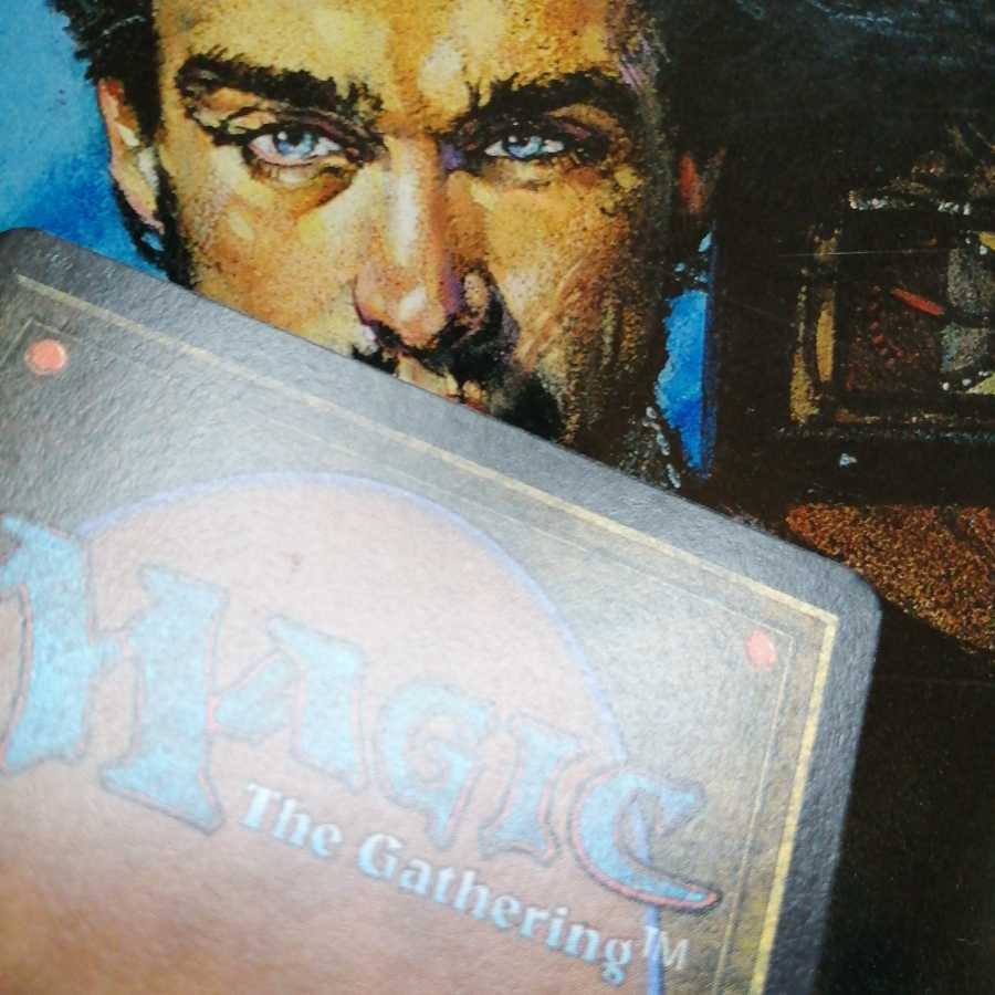 ARN ルフ鳥の卵 英語