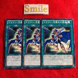 ドラゴン・目覚めの旋律#2254