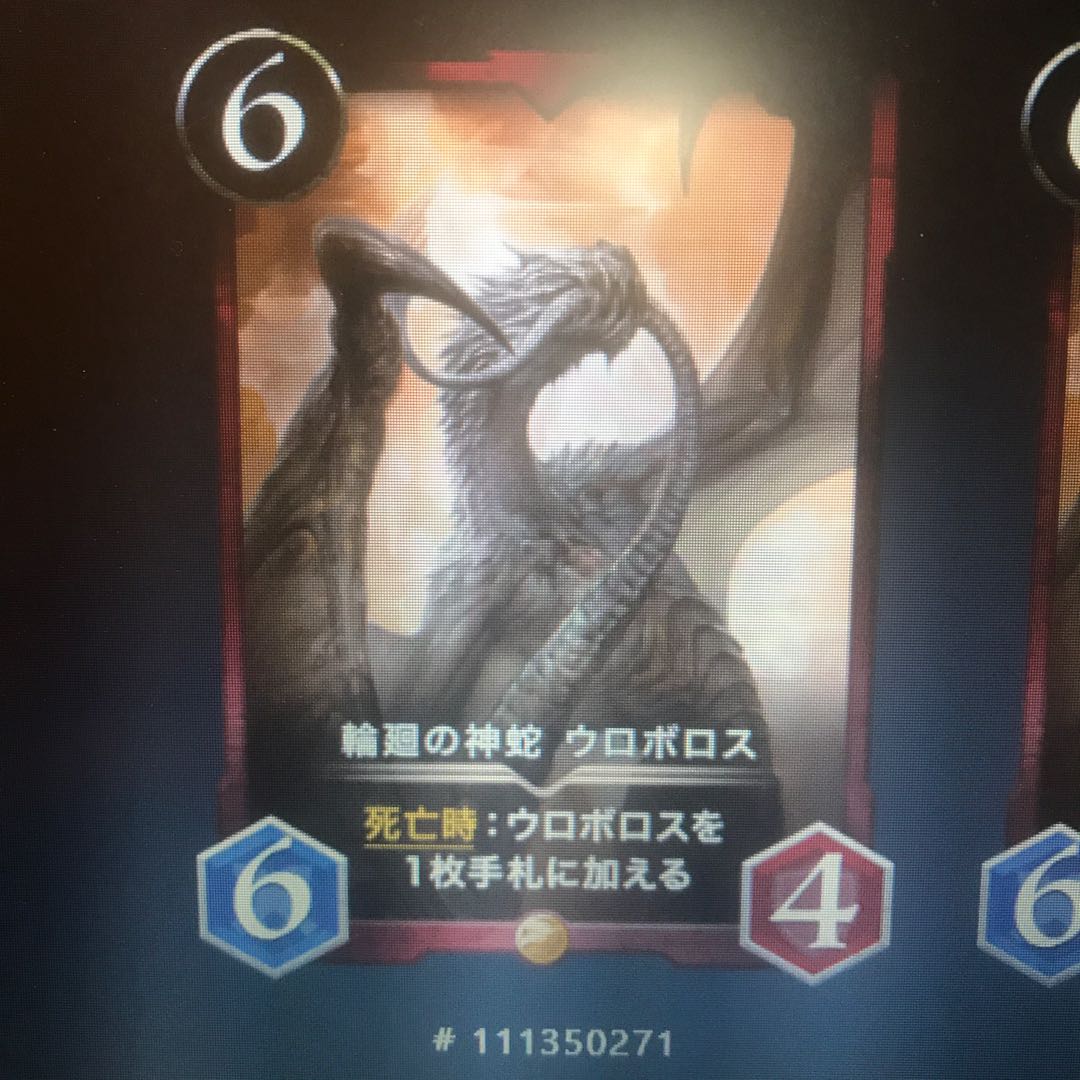 日足大陰線様専用 ウロボロス