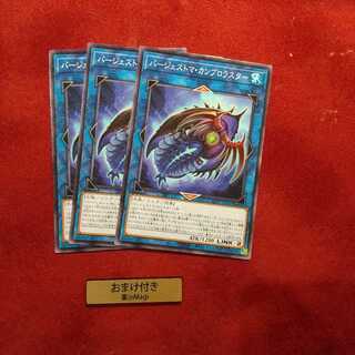 バージェストマ・カンブロラスター ノーマル