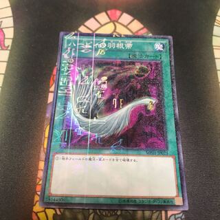 ハーピィの羽根帚 ミレニアム