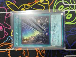 ☆遊戯王　エクソシスター・パークス☆