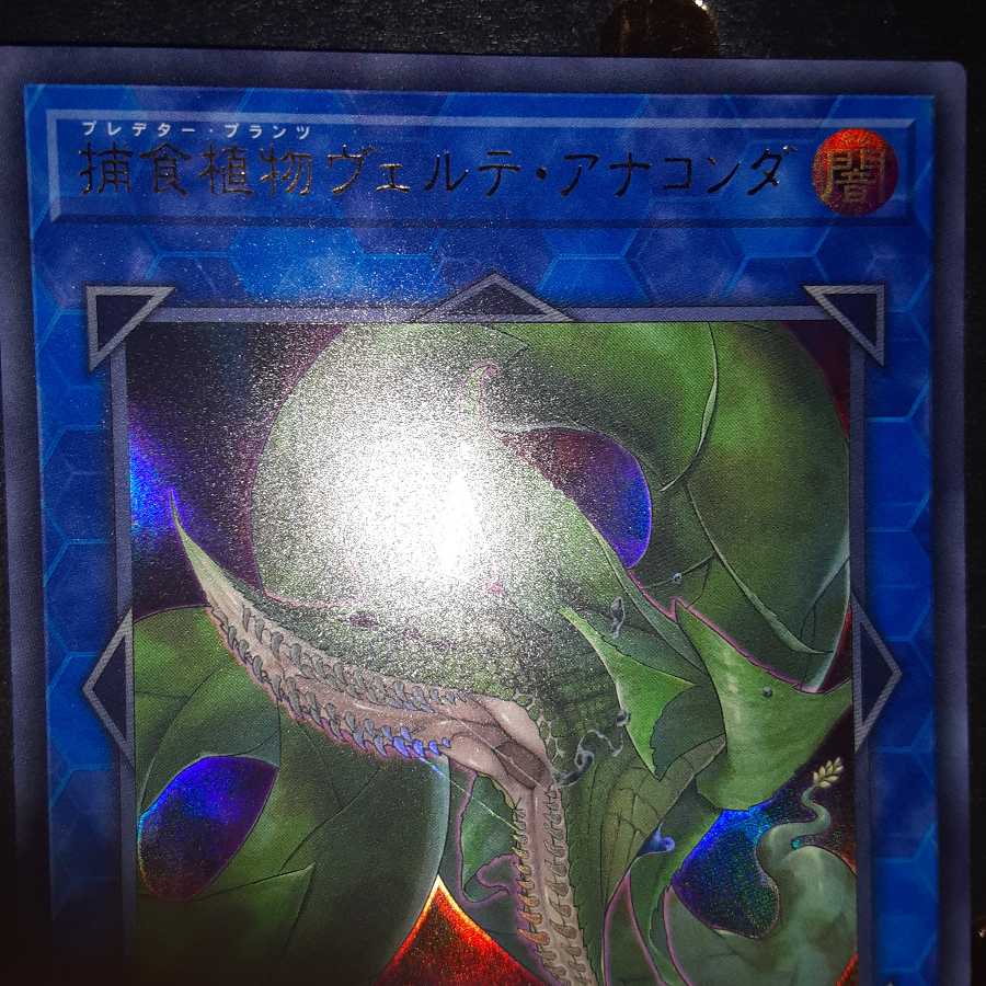 一生非リア様専用