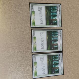 トキワの森 3枚