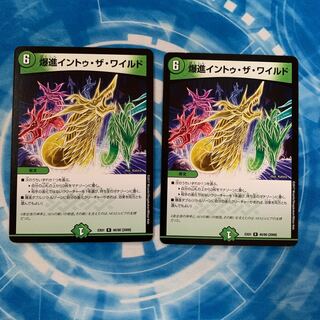 爆進イントゥ・ザ・ワイルド