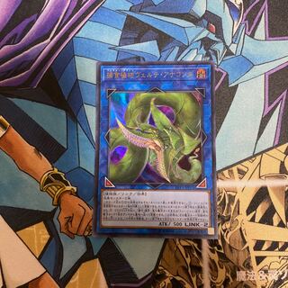 捕食植物ヴェルテ・アナコンダ ウルトラレア