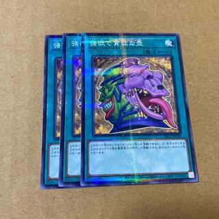 強欲で貪欲な壺 ノーマルパラレル　3枚セット