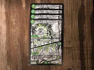 シビレアシダケ｜インビンシブル・パワー