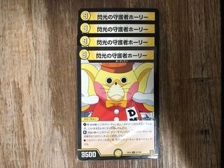 閃光の守護者ホーリー