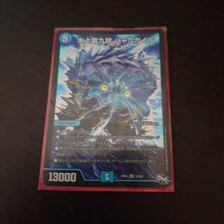 水上第九院 シャコガイル