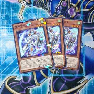 電脳堺姫―娘々 ノーマルパラレル ３枚セット