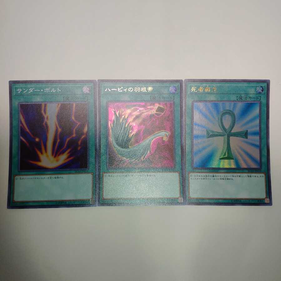 サンダーボルト ハーピィの羽根帚 死者蘇生