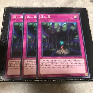 迷い風 ノーマル3枚