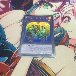 遊戯王　ミレニアムアイズサクリファイス  韓国