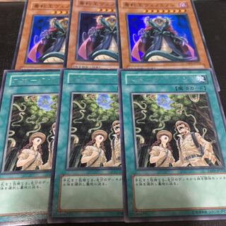 毒蛇王ヴェノミノン スーパー スネークレイン 遊戯王 3枚ずつ