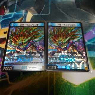 ネ申・マニフェスト　2枚セット