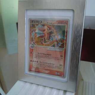 コレクション希少品赤いギャラドス