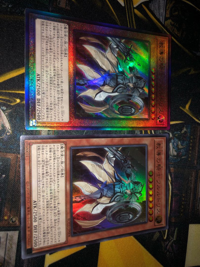 教導の騎士フルルドリス