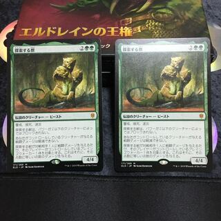 探索する獣　2枚セット