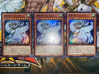 真竜凰マリアムネ