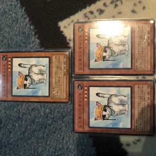 レスキューキャット ノーマル