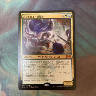 ハイドロイド混成体