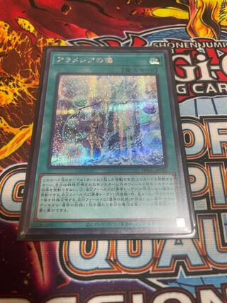 アラメシアの儀　シク　シークレット