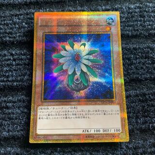 グローアップ・バルブ ゴールドシークレットレア