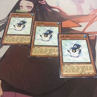 Korea] Puny Penguin Normal