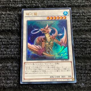 瑚之龍 ウルトラレア