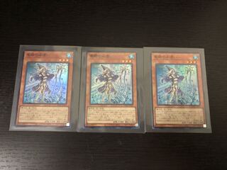 聖殿の水遣い　スーパー3枚セット