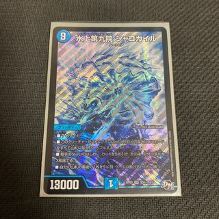 水上第九院 シャコガイル