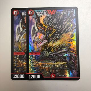 暴走龍 5000GT 2枚