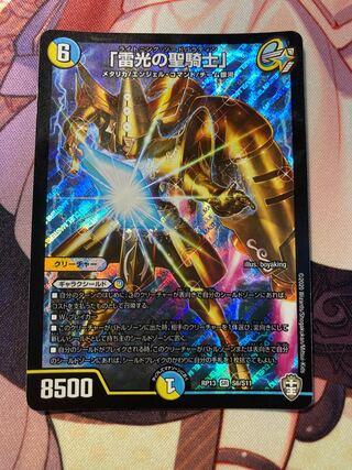 「雷光の聖騎士」