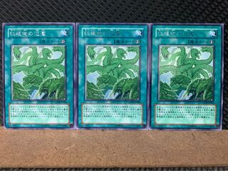 Popotan] Yu-Gi-Oh 7355 Raging Mad Plants 3 rare